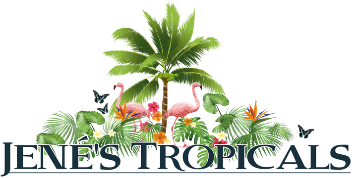 Jene's Tropical Fruit Trees
